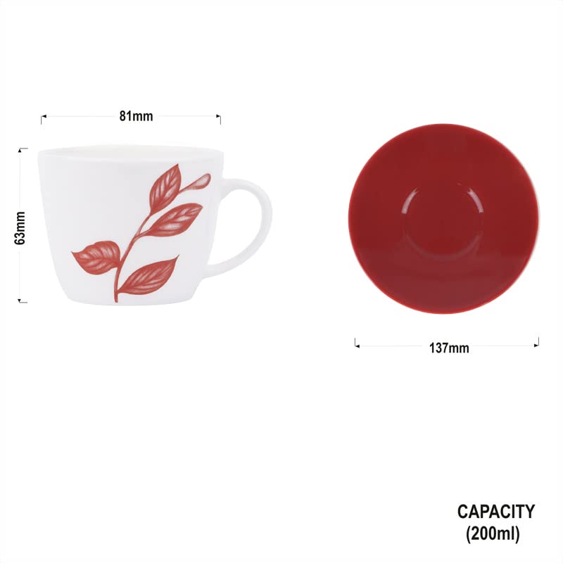 Dandy lines England by DATA Dandy Lines Royal Cups and Saucers in Red Leaves Paradise 50009 Pack of 12 - Image 5
