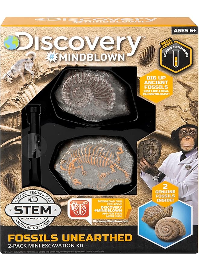 Discovery Kids Stem Fossils Unearthed 2 Pack Mini Excavation Kit One Size - Image 1