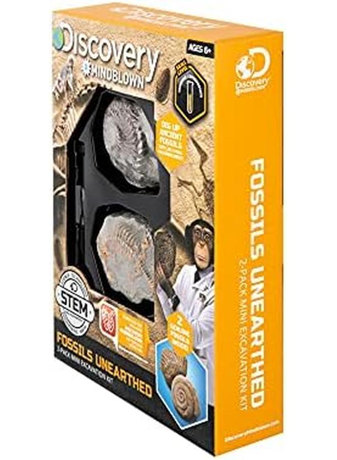 Discovery Kids Stem Fossils Unearthed 2 Pack Mini Excavation Kit One Size - Image 2