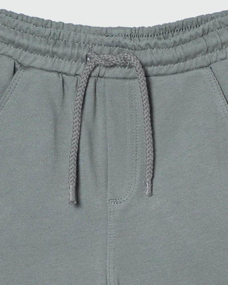 Ovs Boys Shorts Solid Mulled Basil