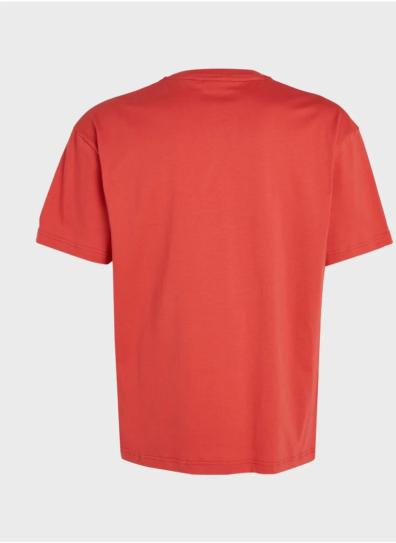 CALVIN KLEIN Logo Crew Neck T-Shirt