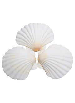 Oasisgalore 15 pcs Natural Scallop Shells 2-3 inch White Sea Shells from Sea Beach for DIY Craft Home  - Image 1