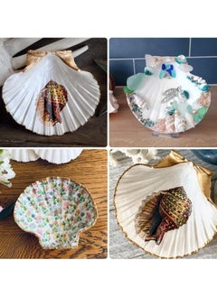 Oasisgalore 15 pcs Natural Scallop Shells 2-3 inch White Sea Shells from Sea Beach for DIY Craft Home  - Image 4