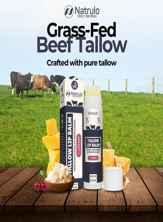 Natrulo Beef Tallow Lip Balm – Natural Tallow Beeswax Chapstick – Hydrating Moisturizer Grass Fed Tallow Balm Care – Soothes Chapped Dry Lips Sensitive Skin – Long Lasting Vitamin Rich USA-Made, Cherry - Image 2