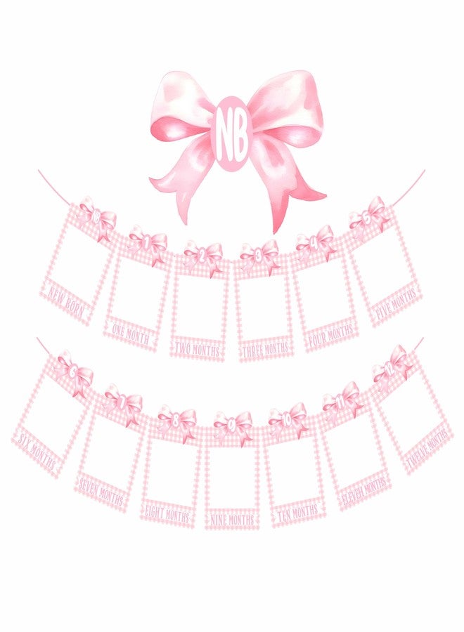 ZTZTST Pink Bow Photo Banner,First Birthday Decorations for Girl,Newborn to 12 Months Photo Banner,1st Birthday Milestone,First Year Photos,Baby Shower - Image 1