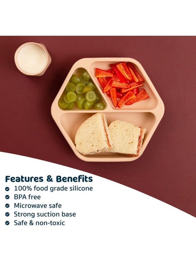 Tiny Twinkle Silicone Suction Baby Plate, Suction Grip Divided Dish for First Foods and Self-Feeding Toddlers, Baby Led Weaning Supplies for Independent Eating (Sand Plate with Lid) - Image 5