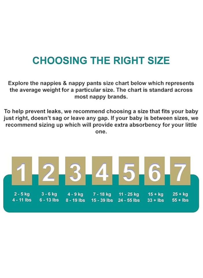 Predo Predo Premium Baby Diaper Pants 2XL, 28 Pieces - Ultra Soft, Absorbent, Leak-Proof Protection for Larger Toddlers  - Image 3