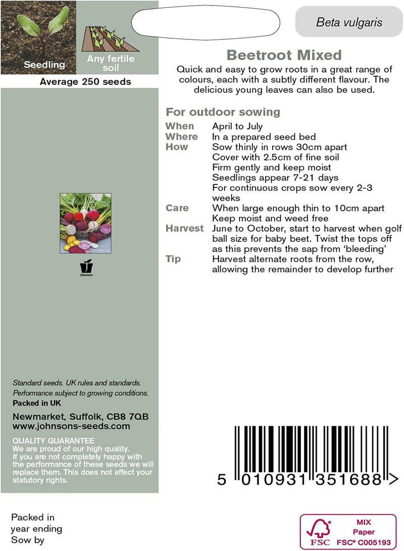 جي جوت بذور المحدودة 35168 مزيج البنجر - Image 2