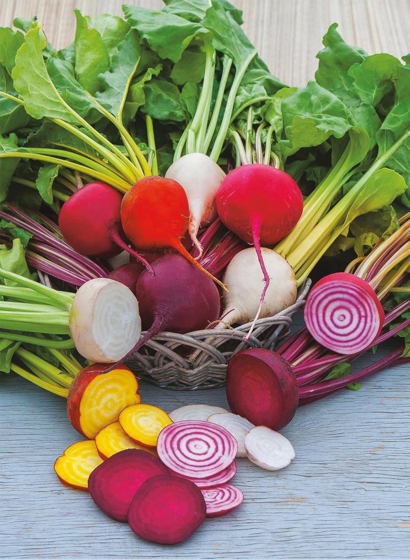 جي جوت بذور المحدودة 35168 مزيج البنجر - Image 3