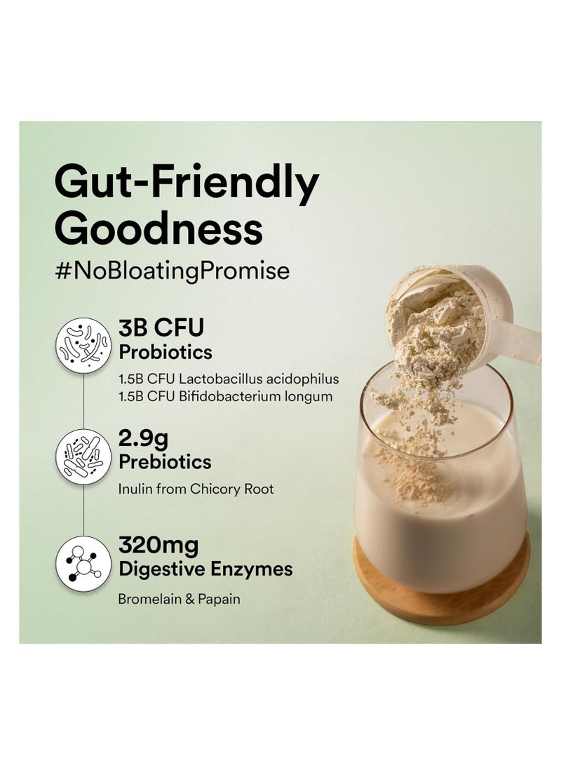 WELLBEING NUTRITION Organic Vegan Plant Protein Isolate| 22g Protein, 5g BCAA, 3B CFU Probiotics, Digestive Enzyme, 3g Fiber, Alkalizing Green| NO Bloat, Easy to Digest| French Vanilla Caramel 500gm - Image 3