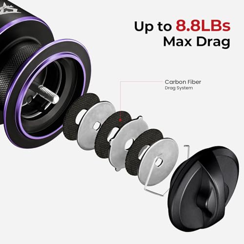 Piscifun Viper X Spinning Reel Ultralight 621 High Speed Spinning Fishing Reel 101BB Carbon Fiber 33 LB Max Drag 1000 Serie Purple - Image 3