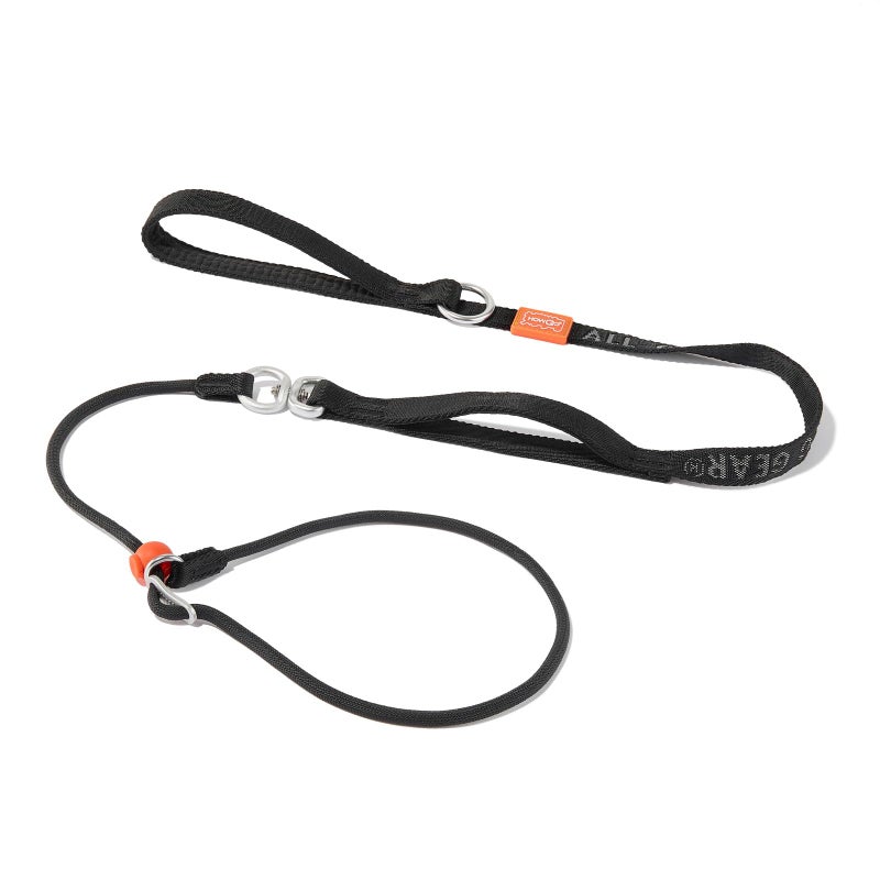 HowGo Slip Lead Dog Leash with Padded Handles | Lightweight Dog Training Leash with 360Â°Swivel Anti-Tangle | Heavy-Duty Lead and Collar for Large Medium and Small, No-Pull Walking (Black, 5.5FT) - Image 1