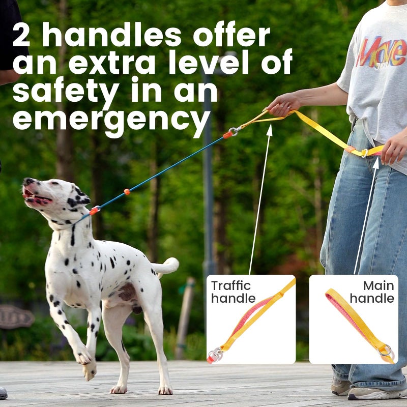 HowGo Slip Lead Dog Leash with Padded Handles | Lightweight Dog Training Leash with 360Â°Swivel Anti-Tangle | Heavy-Duty Lead and Collar for Large Medium and Small, No-Pull Walking (Black, 5.5FT) - Image 3