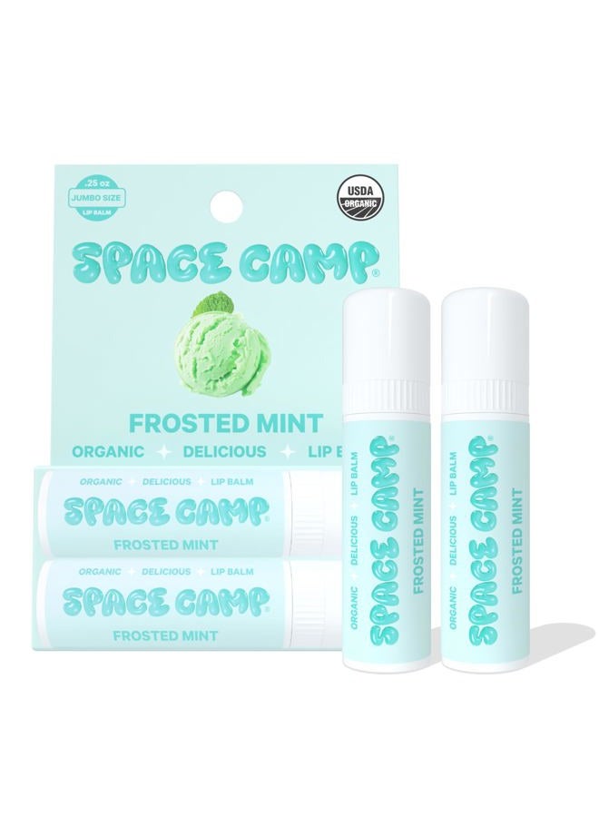 Space Camp Wellness Jumbo Lip Balm - Frosted Mint Organic Flavored Balm (2 Pack) - Image 1