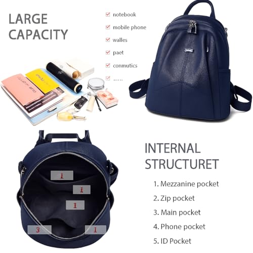 MUCHOVA Stylish Backpack for Women Basic Travel Bag for Stylish Women Lightweight College Backpack for Girls (Blue) - Image 4