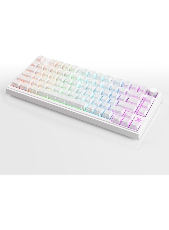 سكايلونج لوحة مفاتيح ألعاب مغناطيسية GK75 HE RGB - مفتاح مغناطيسي قابل للتبديل السريع بتأثير هول - استطلاع 8000 هرتز - معدل تشغيل سريع 0.01 مم - Image 2