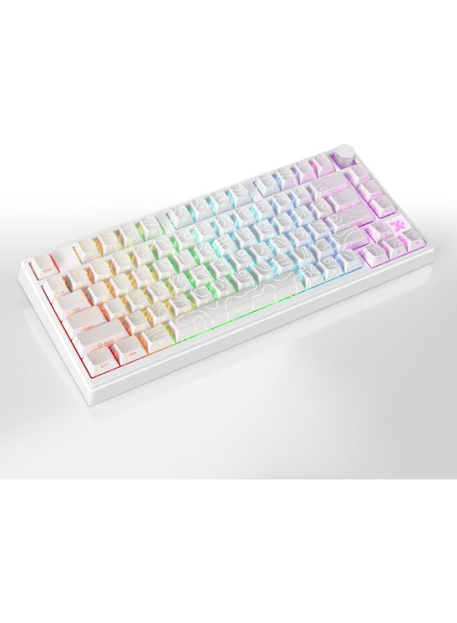 سكايلونج لوحة مفاتيح ألعاب مغناطيسية GK75 HE RGB - مفتاح مغناطيسي قابل للتبديل السريع بتأثير هول - استطلاع 8000 هرتز - معدل تشغيل سريع 0.01 مم - Image 3