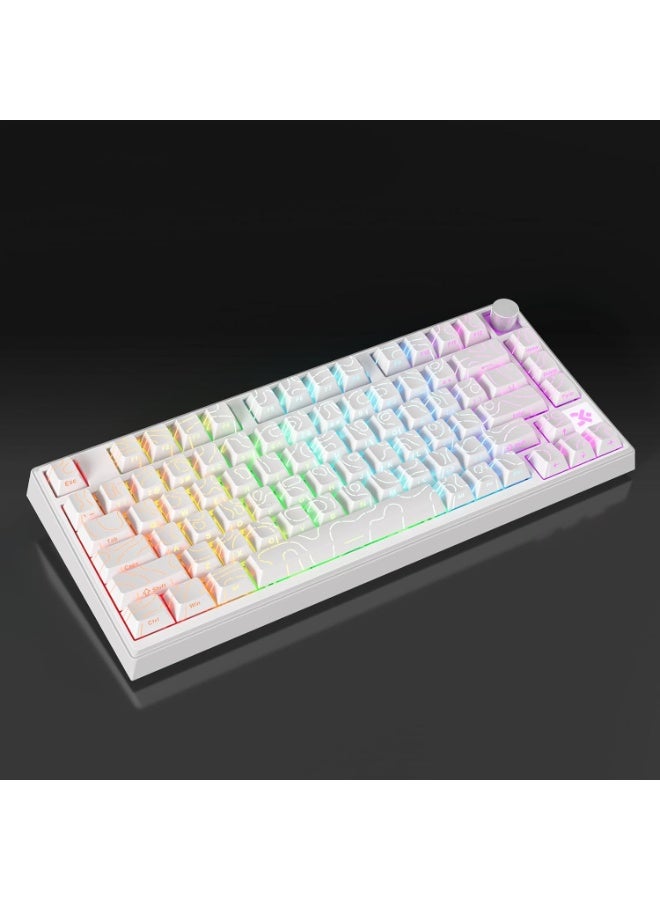 سكايلونج لوحة مفاتيح ألعاب مغناطيسية GK75 HE RGB - مفتاح مغناطيسي قابل للتبديل السريع بتأثير هول - استطلاع 8000 هرتز - معدل تشغيل سريع 0.01 مم - Image 4