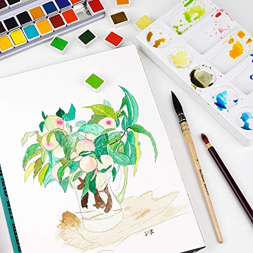 Paul Rubens Artist Grade Watercolor Paint, 48 Colors Solid Cakes with Palette and 100% Cotton Hot Press Watercolor Block for Artists, Beginners, Hobbyists, Students - Image 5