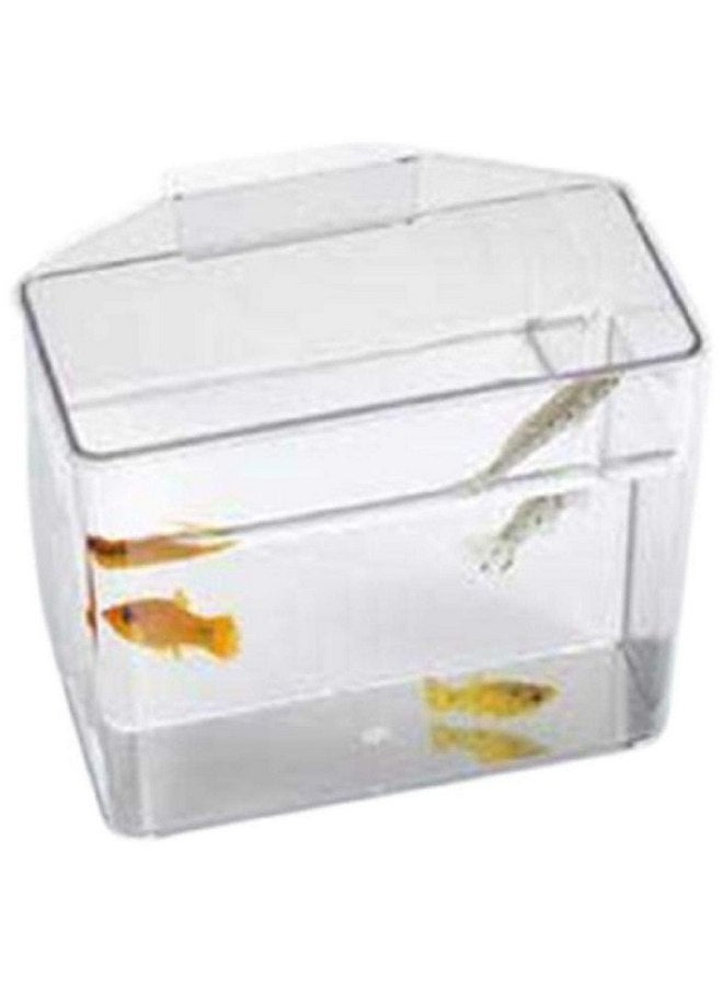 Lee's Pet Products ALE10516 Heavy Duty Specimen Container for Aquarium, Small
