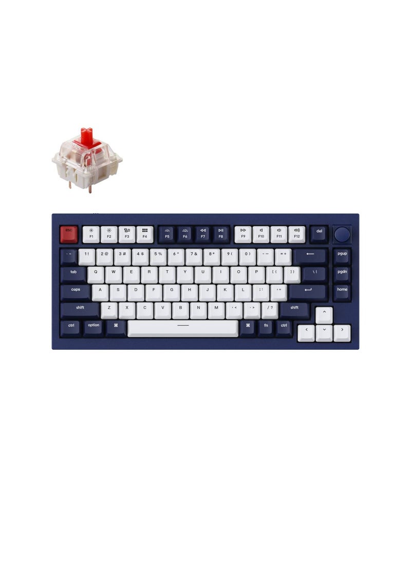 Keychron Keychron Q1 QMK Gateron Phantom Mechanical Keyboard with Knob, RGB, Red Switch & Custom Hot-swappable | Ergonomic Design Gaming Keyboard - Navy Blue  - Image 1