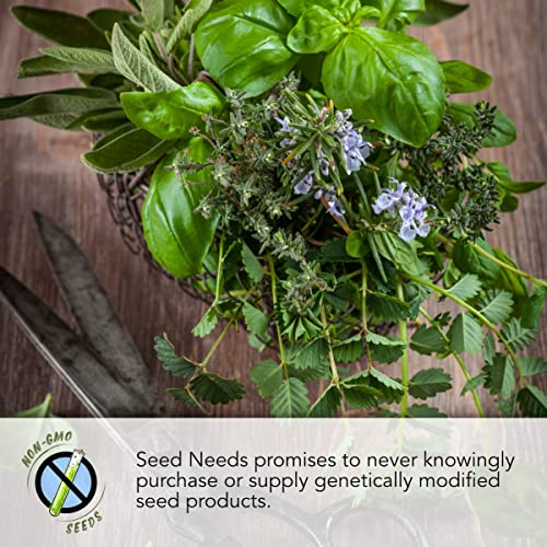 Seed Needs, Italian Herb Seed Packet Collection (5 Individual Seed Varieties for Planting) Non-GMO & Untreated - Oregano, Basil, Rosemary, Sage and Parsley - Image 3