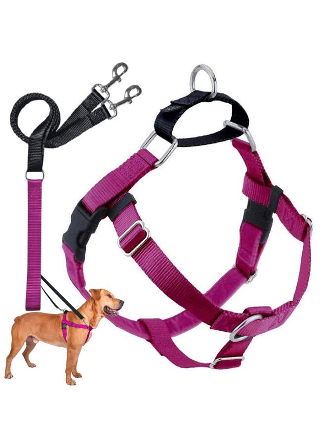 2 HOUNDS DESIGN Freedom No Pull Dog Harness, Adjustable Harness and Leash Set, Easy Walking & Comfortable Control, Fits Small, Medium & Large Dogs, Solid Colors, Made in USA, 1" MD, Raspberry  - Image 1
