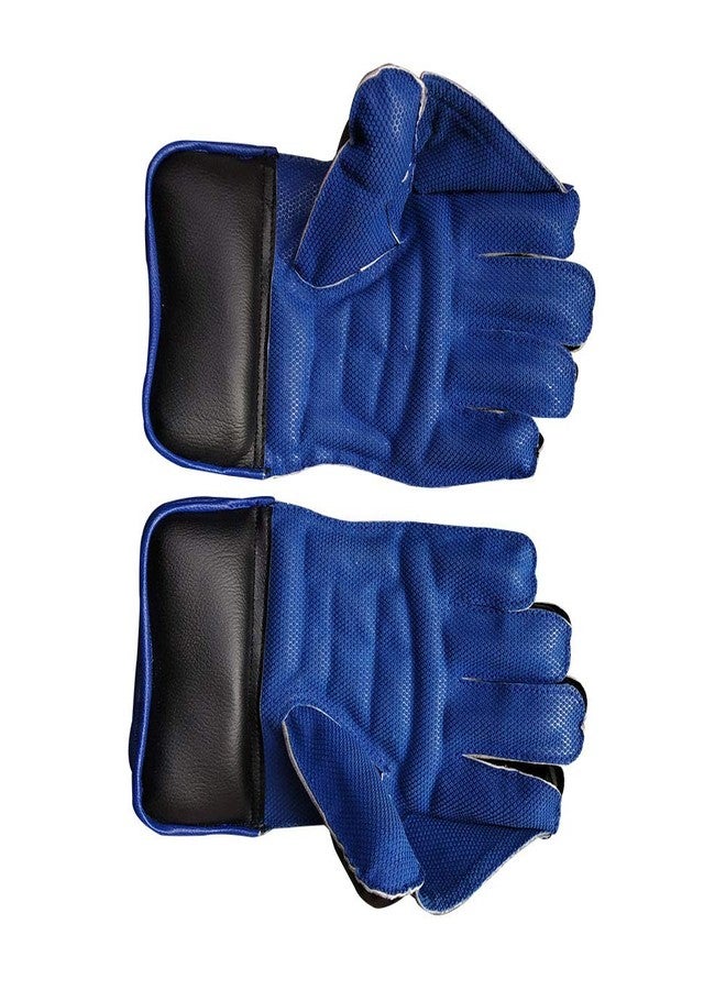 JetFire Wicket Keeping Gloves Wicket Keeping Gloves (L, Blue) - Image 1