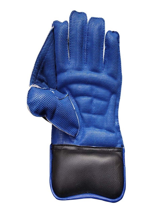 JetFire Wicket Keeping Gloves Wicket Keeping Gloves (L, Blue) - Image 5