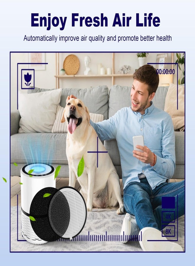 PETOX فلتر بديل LV-H132 متوافق مع جهاز تنقية الهواء LEVOIT LV-H132، فلتر كربون نشط عالي الكفاءة من فئة H13 بتقنية HEPA الحقيقية 3 في 1، رقم القطعة LV-H132-RF، عبوة من قطعتين - Image 5