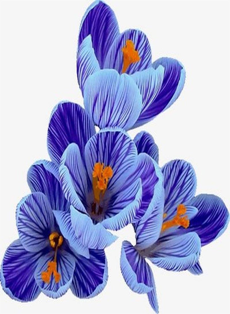 GGOOT 5pcs Blue Saffron seeds Perennial Crocus Flower seeds for Outdoor Planting High Ornamental Value Pleasant Fragrance Good Gift Decorate for Home Gardening - Image 2