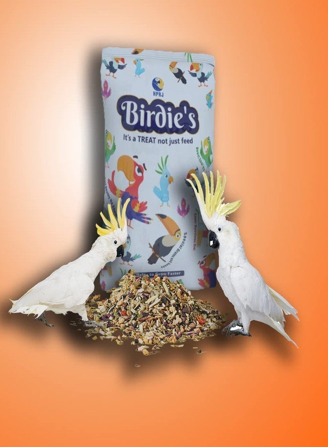 BIRDIE'S بذور بيردي المختلطة للطيور الصغيرة 1 كجم + 1 كجم بذور مختلطة للطيور متوسطة الحجم (طيور الحب، الببغاوات، الكوكاتيل، الببغاء الصغير، الكونيور، الكوكاتو، المكاو، والرمادي الأفريقي)، طبيعية 100% وخالية من المواد الكيميائية. - Image 4