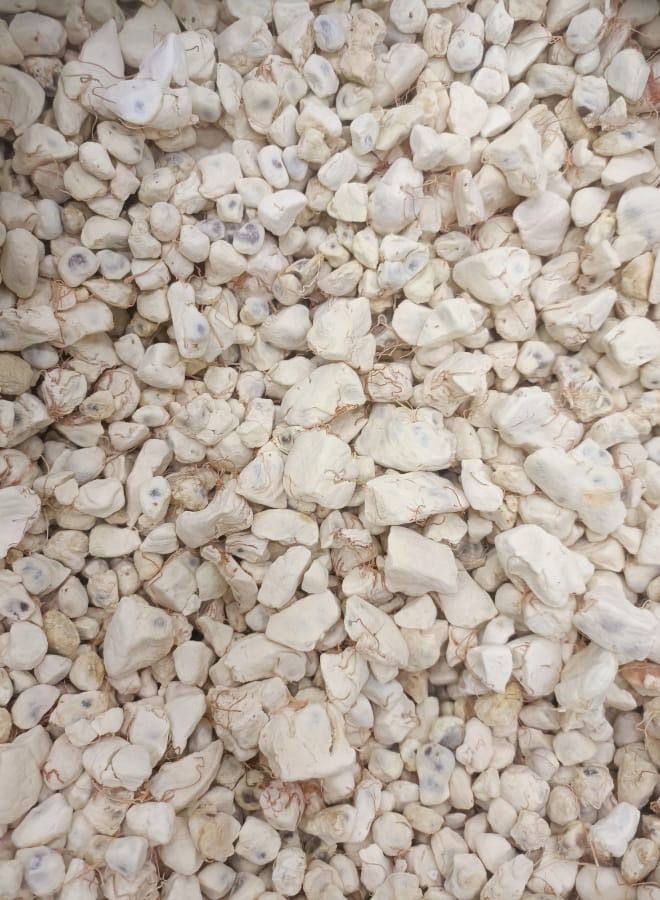 Baladi herb 500 grams