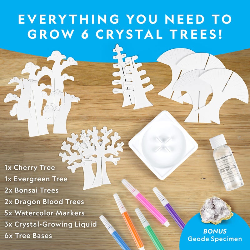 Blue Marble National Geographic Craft Kits for Kids - Crystal Growing Kit, Grow 6 Crystal Trees in Just 6 Hours, Educational Craft Kit with Art Supplies, Geode Specimen, STEM Arts & Crafts Kit (Amazon Exclusive) - Image 5