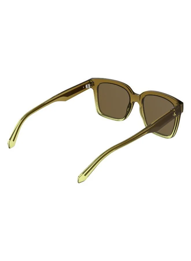 Calvin Klein Jeans  Square Sunglasses for Women | Best Price UAE