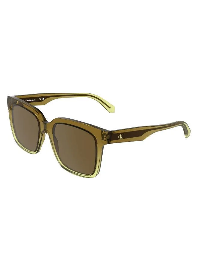 Calvin Klein Jeans  Square Sunglasses for Women | Best Price UAE