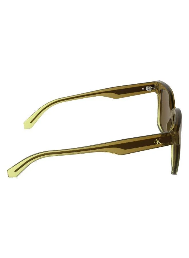 Calvin Klein Jeans  Square Sunglasses for Women | Best Price UAE