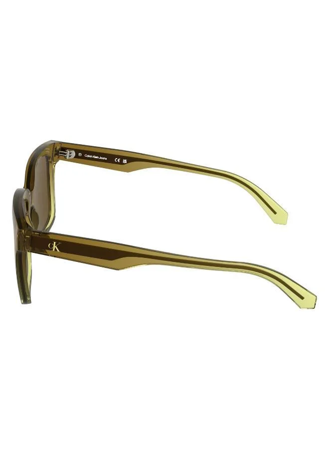 Calvin Klein Jeans  Square Sunglasses for Women | Best Price UAE