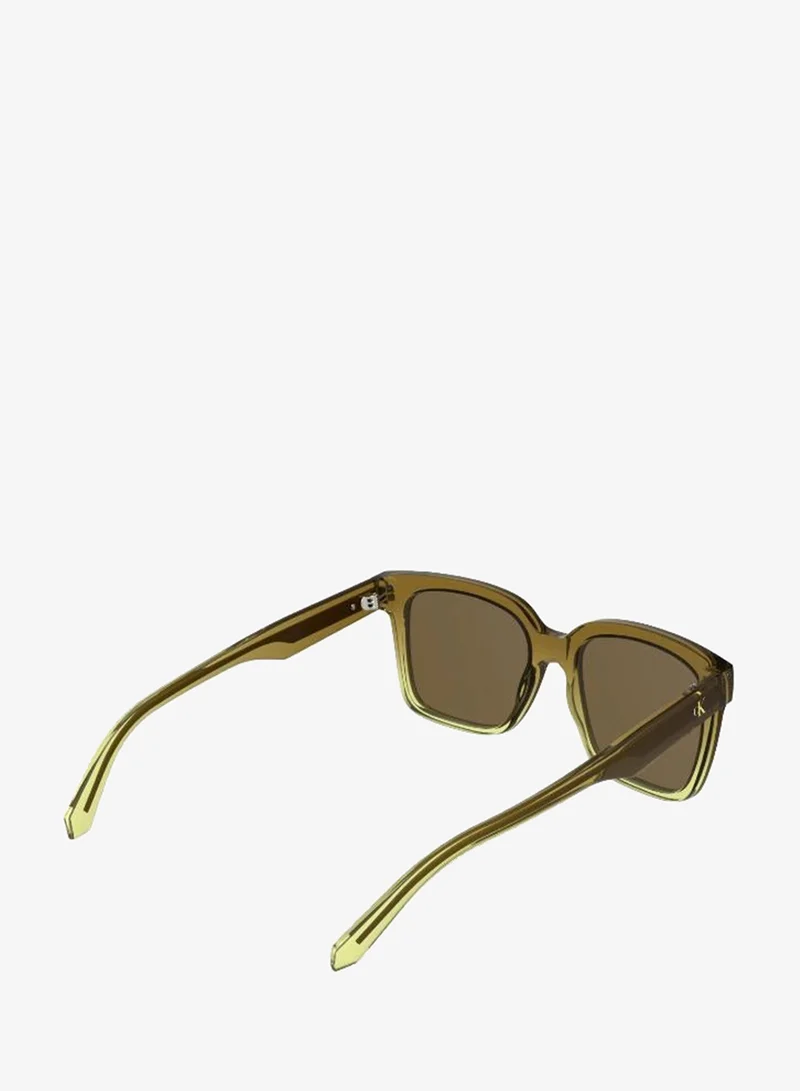 Calvin Klein Jeans  Square Sunglasses for Women | Best Price UAE