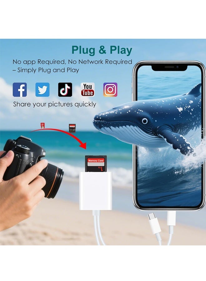 SD Card Reader for iPhone iPad, 2 in 1 SD/Micro SD Card Adapter Dual Connector (Lightning & USB-C) for SD and TF Memory Cards, Trail Camera Viewer with No Driver Needed Plug & Play - Image 3