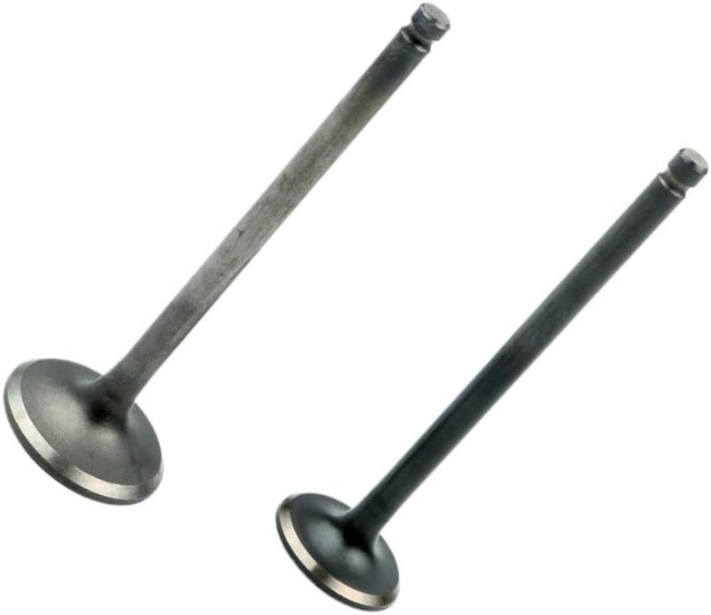 Motorcycle Scooter Intake And Valves Fit For GR125 Sr 2 Jet4 XPro 125cc 14711-F6A-000 14721-F6A-000