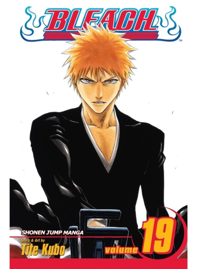Bleach Vol 19 19 - Paperback