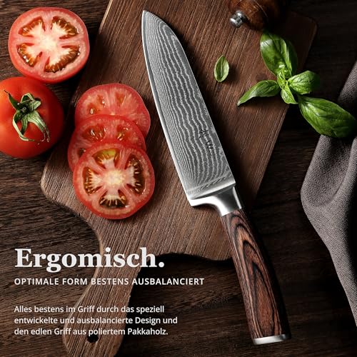 Wakoli EDIB Damascus Santoku Knife – 6.7-Inch Japanese Style Kitchen Knife | Genuine 67-Layer Damascus Steel Blade with VG10 Core | Ergonomic Pakkawood Handle | Professional Cooking Knife in Gift Box - Image 4
