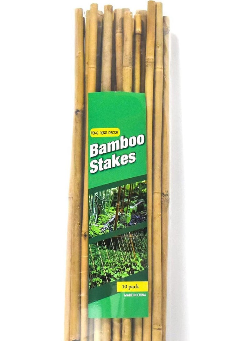 𝐅𝐅𝐃 أقطاب الخيزران الطبيعية للبستنة - أوتاد دعم نباتية متينة (60 سم، 100 سم، 120 سم) | متعددة الاستخدامات للاستخدام الداخلي والخارجي | مثالية للبازلاء والعنب والأشجار وهياكل الحدائق الإبداعية - Image 1