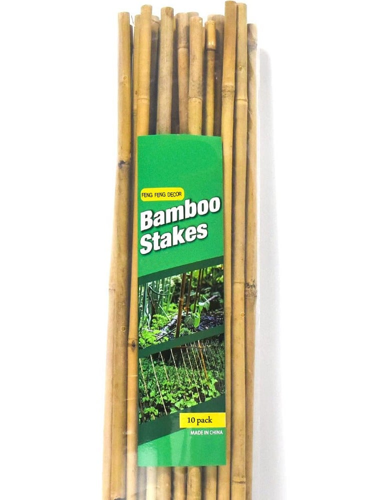 Generic 𝐅𝐅𝐃 Natural Bamboo Poles for Gardening - Durable Plant Support Stakes (60cm, 100cm, 120cm) | Versatile for Indoors & Outdoors | Ideal for Peas, Grapes, Trees & Creative Garden Structures  - Image 1