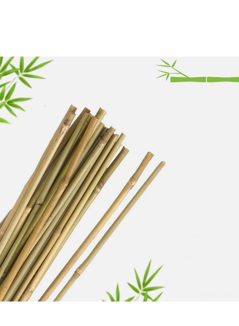 Generic 𝐅𝐅𝐃 Natural Bamboo Poles for Gardening - Durable Plant Support Stakes (60cm, 100cm, 120cm) | Versatile for Indoors & Outdoors | Ideal for Peas, Grapes, Trees & Creative Garden Structures  - Image 2