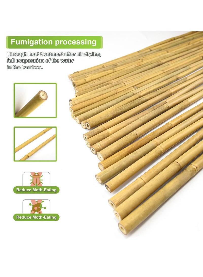 Generic 𝐅𝐅𝐃 Natural Bamboo Poles for Gardening - Durable Plant Support Stakes (60cm, 100cm, 120cm) | Versatile for Indoors & Outdoors | Ideal for Peas, Grapes, Trees & Creative Garden Structures  - Image 3