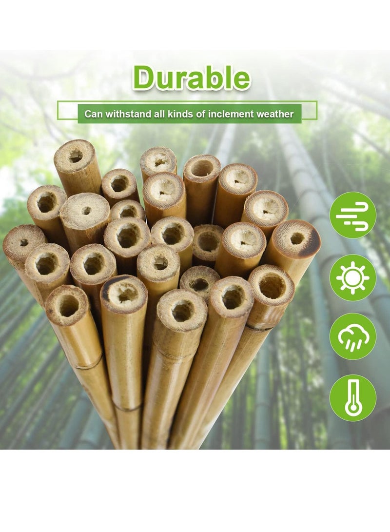 Generic 𝐅𝐅𝐃 Natural Bamboo Poles for Gardening - Durable Plant Support Stakes (60cm, 100cm, 120cm) | Versatile for Indoors & Outdoors | Ideal for Peas, Grapes, Trees & Creative Garden Structures  - Image 4