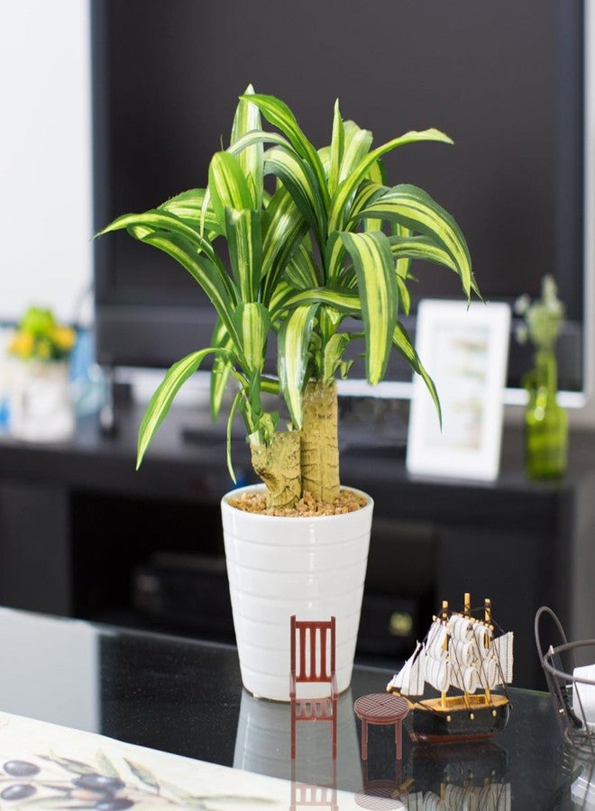 جارنيك 4 مجموعات من طاولة وكراسي بيت الدمية المصغرة، بيت الدمية المصغرة، طاولة وكرسي، أثاث مطبخ بلاستيكي صغير لتزيين بيت الدمية في حديقة الجنيات بنفسك - Image 3