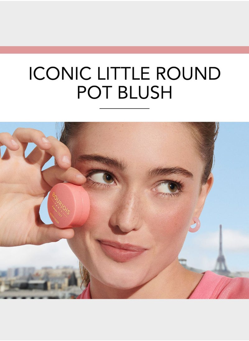BOURJOIS PARIS - Bourjois Little Round Pot Blusher – 85 – Sienne, 2.5g - Image 1